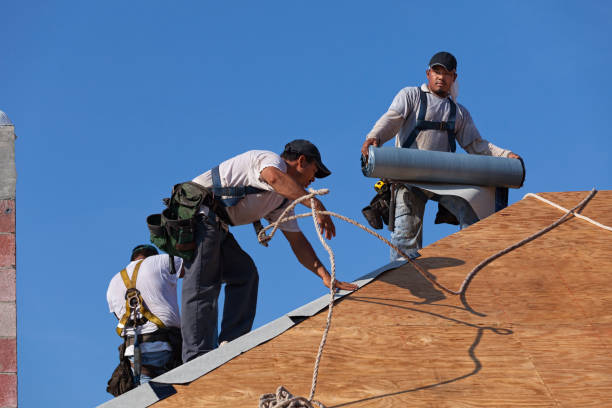 Best Roof Repair Services  in Carol Stream, IL
